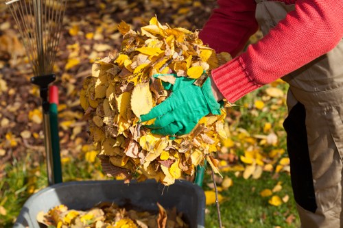 Professional garden clearance in Ruislip